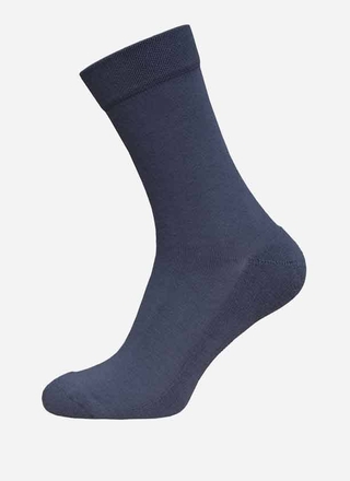 Брестские Носки мужские ARCTIC (махровый след) 14С2421