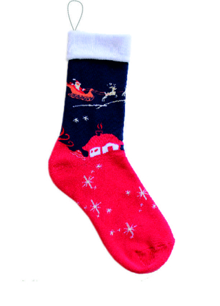 БРЕСТСКИЕ Носок сувенирный 4000