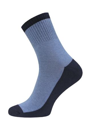 Брестские Носки мужские 2330 ACTIVE (махровый след)