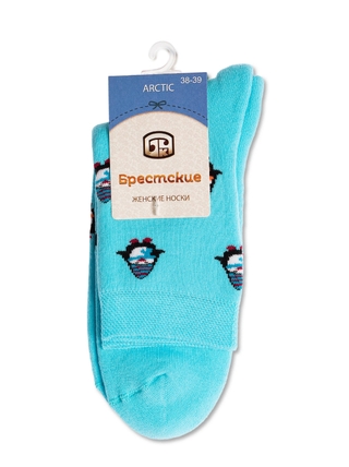 Брестские Arctic 1408