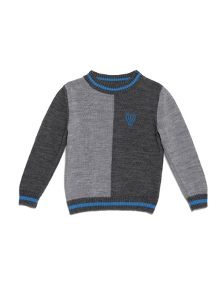 ESLI LEO джемпер для мальчика 