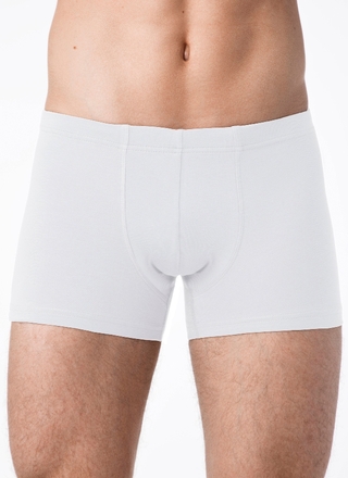 Брестские Трусы мужские ALFA BOXER 16С6300