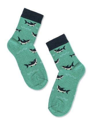 БРЕСТСКИЕ НОСКИ ДЕТСКИЕ 3081 KIDS (с рисунком)