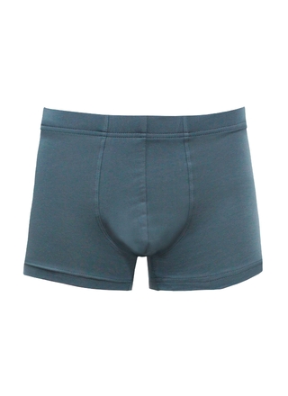 Брестские Трусы мужские ALFA BOXER 16С6300