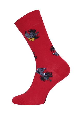 БРЕСТСКИЕ НОСКИ МУЖСКИЕ 2155 СМФ "Ну, погоди!"(средней длины)