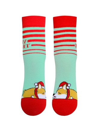 БРЕСТСКИЕ НОСКИ ДЕТСКИЕ 3079 SCHOOL