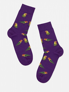 Брестские Носки 4200 PETS (средней длины)