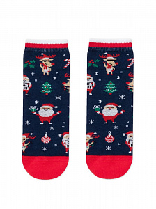 CONTE-KIDS NEW YEAR 21С-61СПА Носки детские