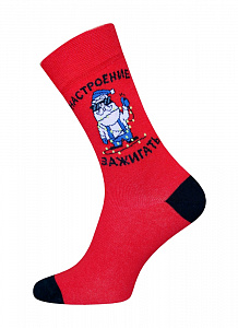 БРЕСТСКИЕ НОСКИ 4200 С НОВЫМ ГОДОМ! (средней длины)