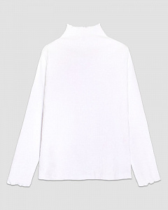 Свитер (водолазка) для девочки