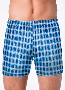 ALFA Трусы мужские 6400 (100% Хлопок)