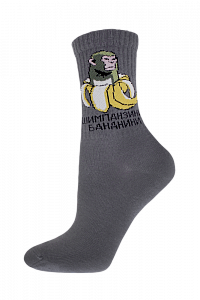 БРЕСТСКИЕ НОСКИ ДЕТСКИЕ 3076 SCHOOL (рисунок)