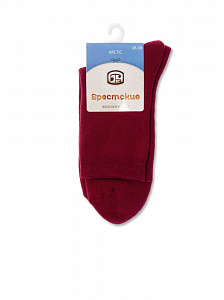 Брестские Arctic 1408