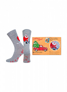 БРЕСТСКИЕ НОСКИ МУЖСКИЕ 2146Е CLASSIC (упакованы в конверт) 