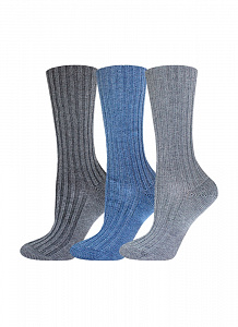 Брестские Носки женские ARCTIC (удлиненные) 21С1427