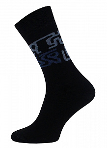 Брестские Носки мужские 2424 ARCTIC (махровые)