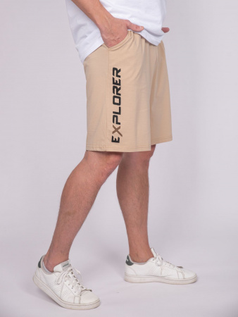 Шорты мужские Шорты мужские