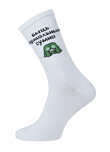 БРЕСТСКИЕ НОСКИ 4201 EVERY (удлиненные)