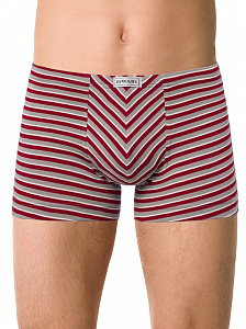 DIWARI BAND MSH 872 Трусы мужские (на вешалке)