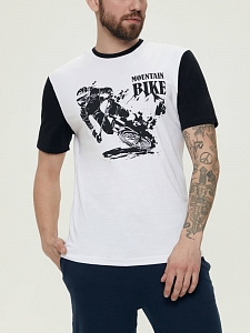 ESLI Джемпер мужской CTM2190092