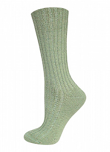 Носки женские Arctic