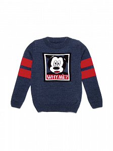 ESLI 18С-179СП джемпер для мальчика 