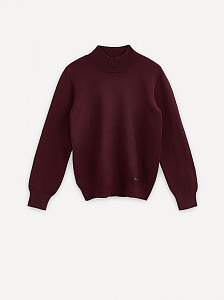 ESLI Джемпер для мальчика 24С-20СП