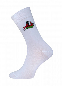 БРЕСТСКИЕ НОСКИ МУЖСКИЕ 2127 CLASSIC (средней длины)