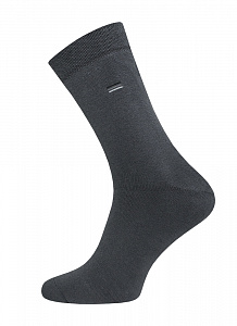 Брестские Носки мужские 2420 ARCTIC (махровые)