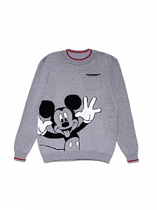 ESLI 18С-181СП джемпер для мальчика 