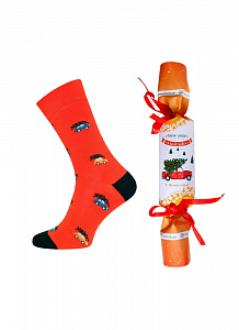 Брестские Носки 4200К SOXY (упакованы в виде конфеты)