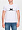 ALFA ФУТБОЛКА МУЖСКАЯ 6611 T-SHIRT (принт)