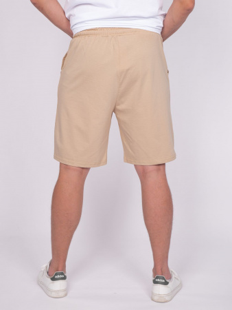 Шорты мужские Шорты мужские