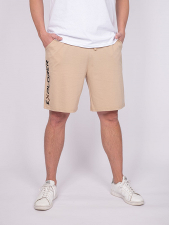 Шорты мужские Шорты мужские