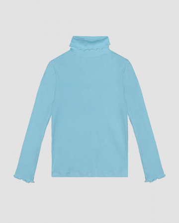 Свитер (водолазка) для девочки Свитер (водолазка) для девочки