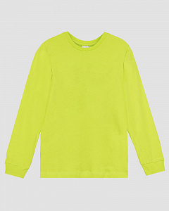 Фуфайка с дл. рукавом для мальчика